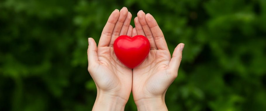 herz_hände_2_small